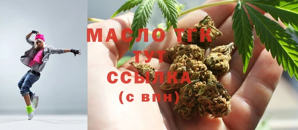гидра Абаза