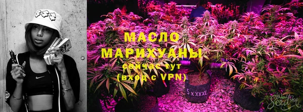 гидра Абаза