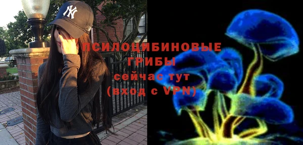 не бодяженный Алзамай