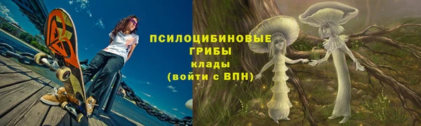 тгк Алексеевка