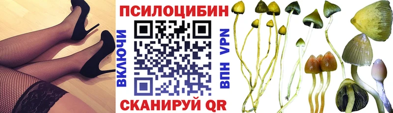 блэк спрут маркетплейс  купить  сайты  Дмитровск  Псилоцибиновые грибы MAGIC MUSHROOMS 
